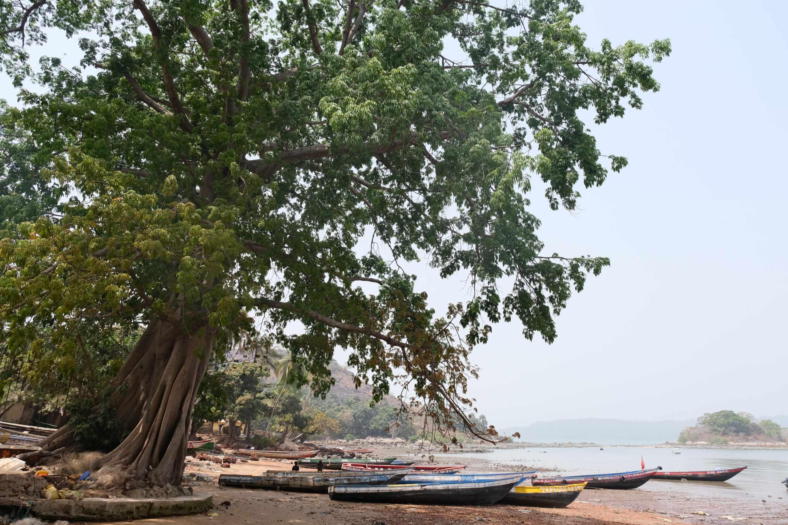 35-40. Nap – Conackry 2. Rész