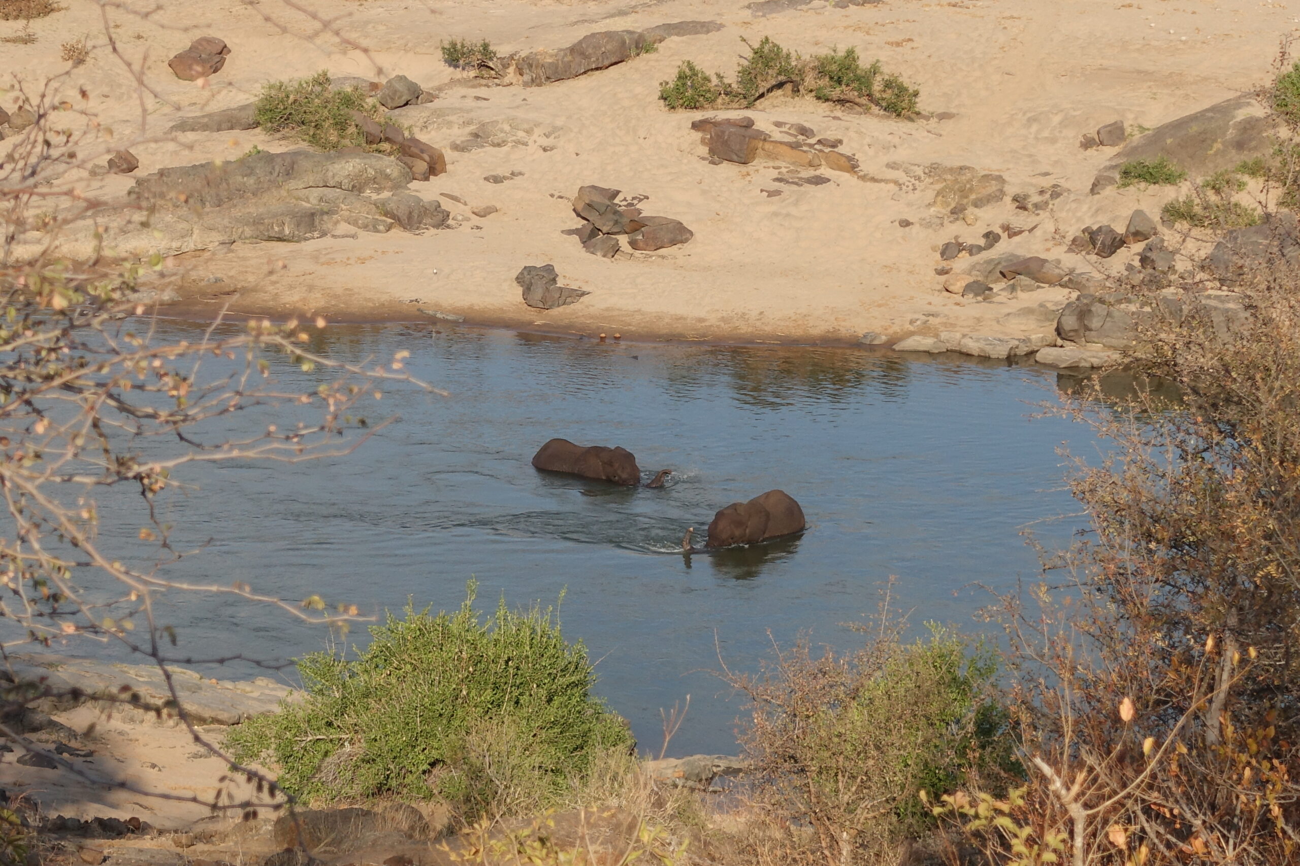 Day 174-177: Kruger National Park (South Africa)