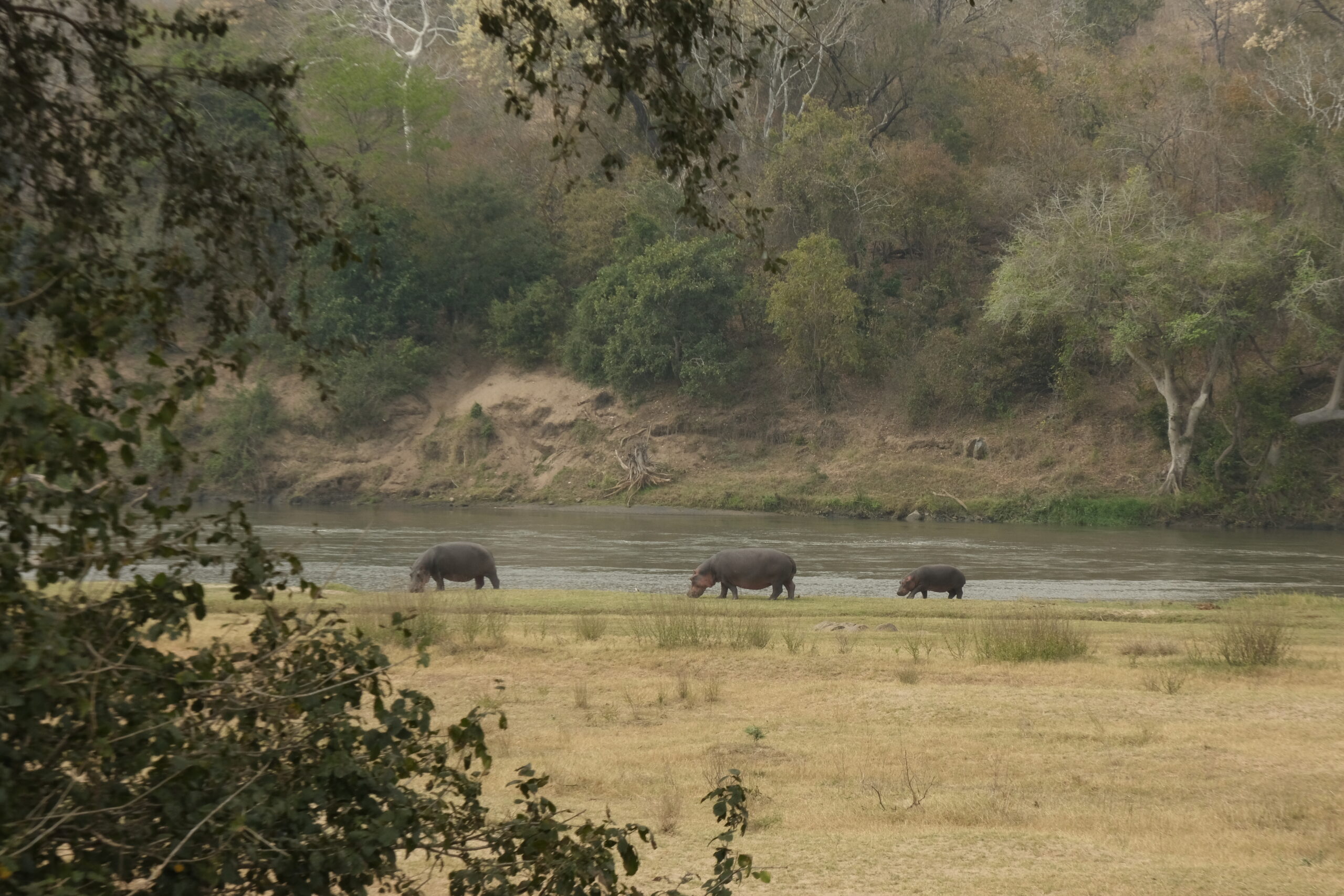 Day 233-235.: Majete Wildlife reserve (Malawi)