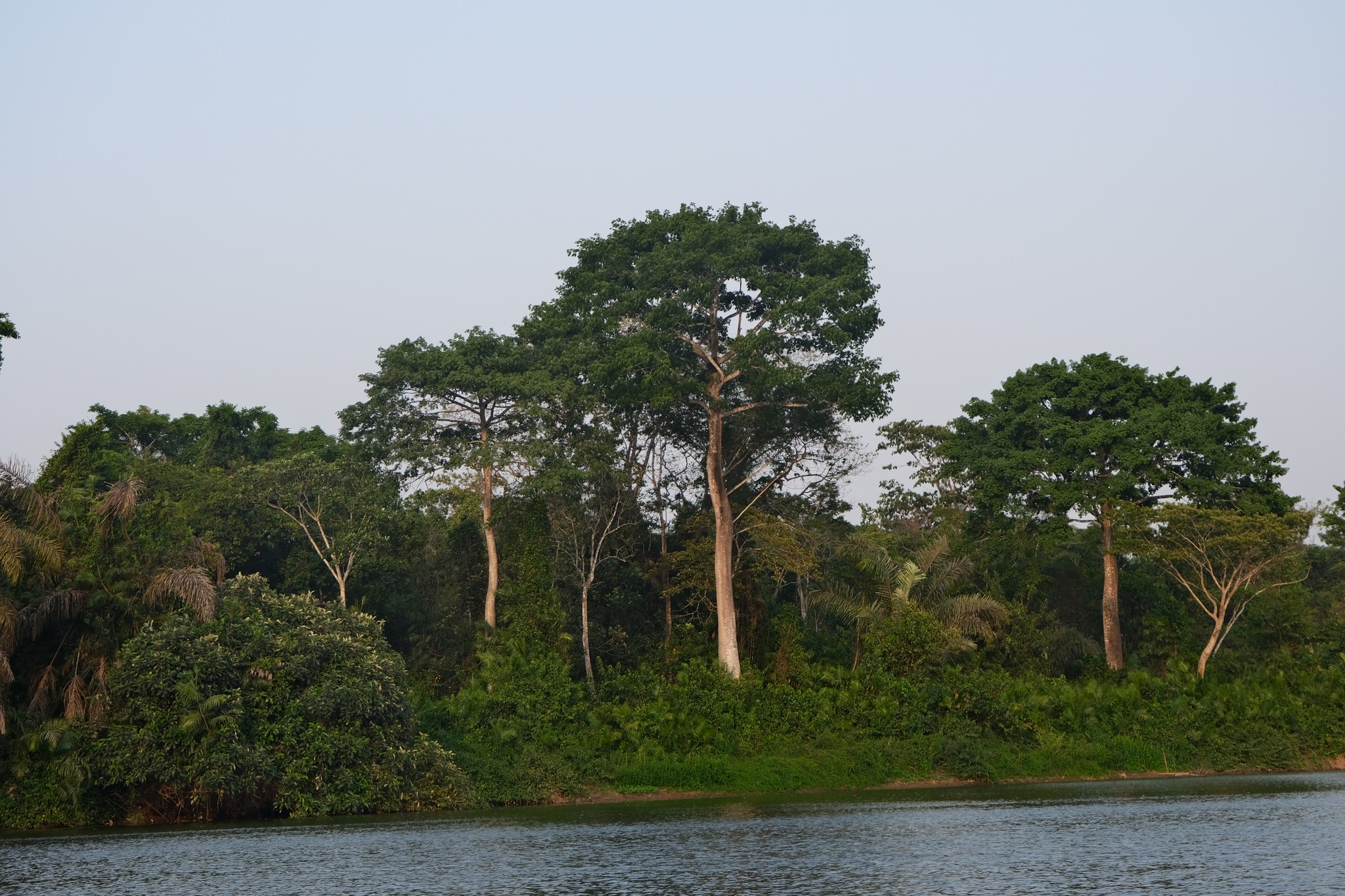 5 days in Sierra Leone