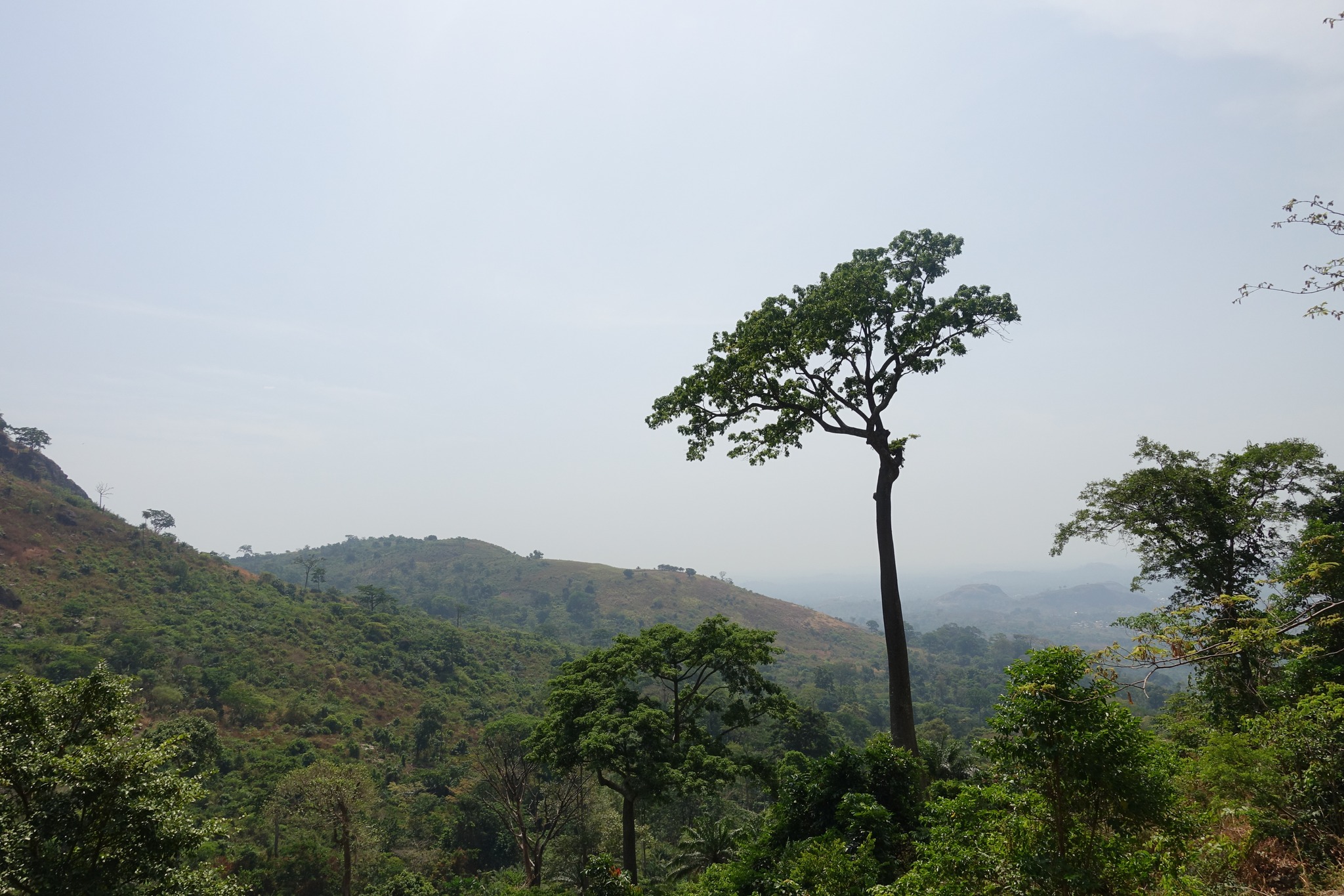 Day 48–49.: Man (Ivory Coast)